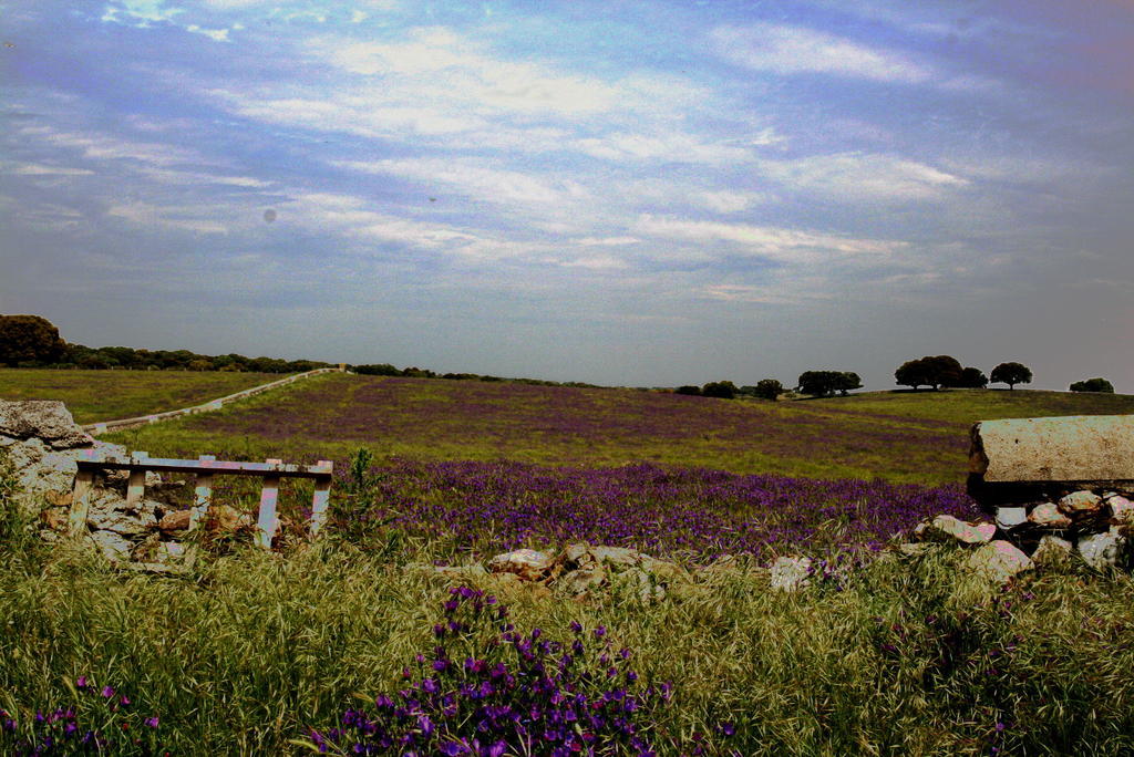 Casa Rural La Cuadraá Linares de Riofrío Camera foto