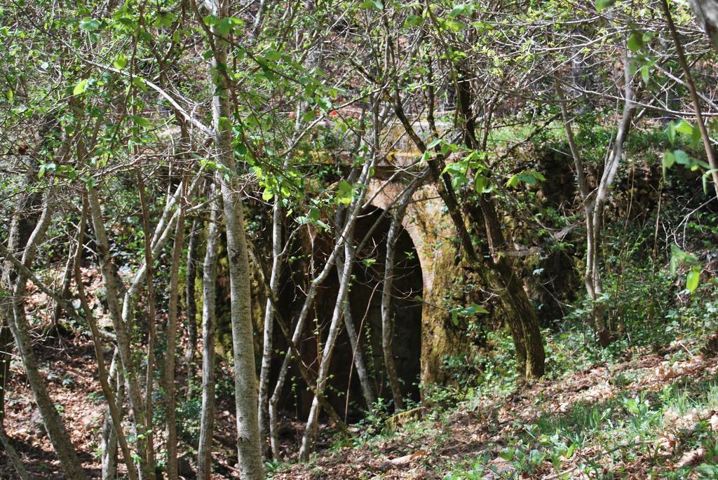 Casa Rural La Cuadraá Linares de Riofrío Esterno foto