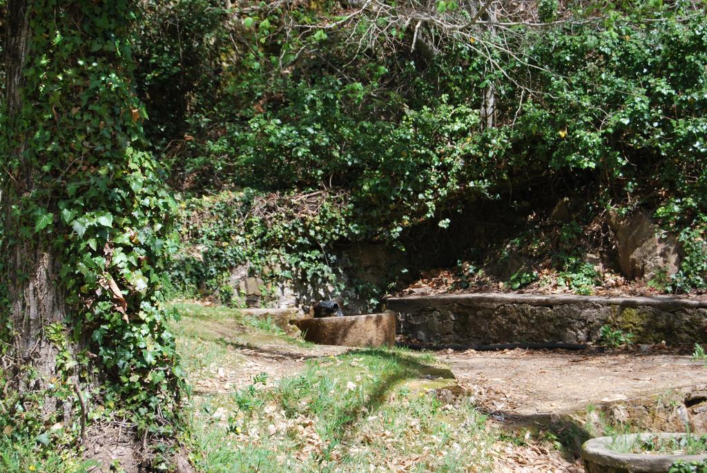 Casa Rural La Cuadraá Linares de Riofrío Esterno foto